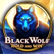 Youtube dbet casino