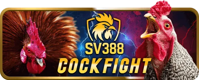 Bắn Cá tại dbet Casino
