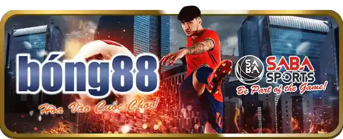 Đá Gà tại dbet Casino